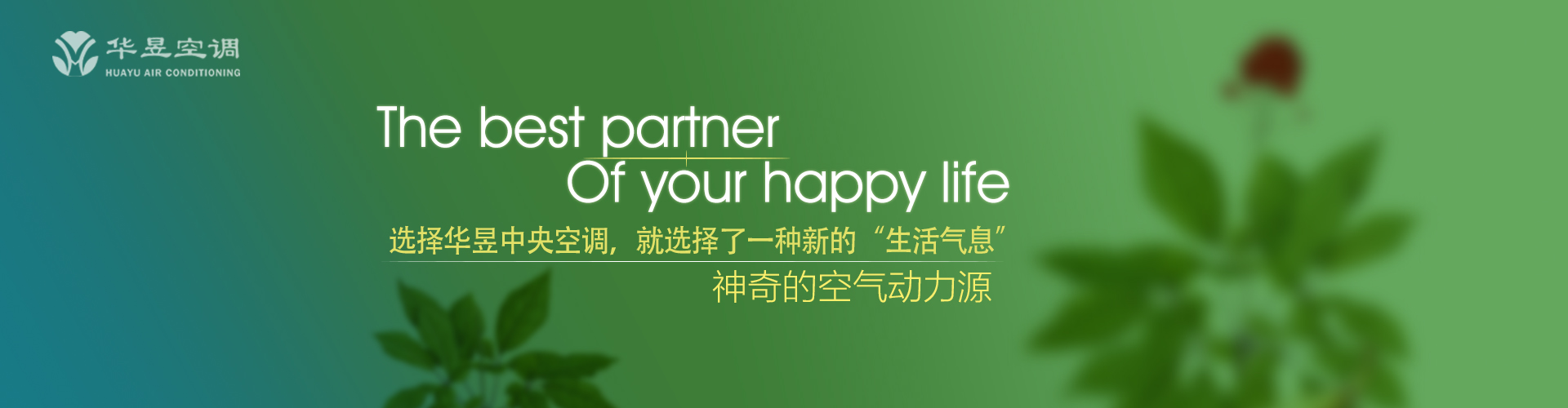 人人皆知网